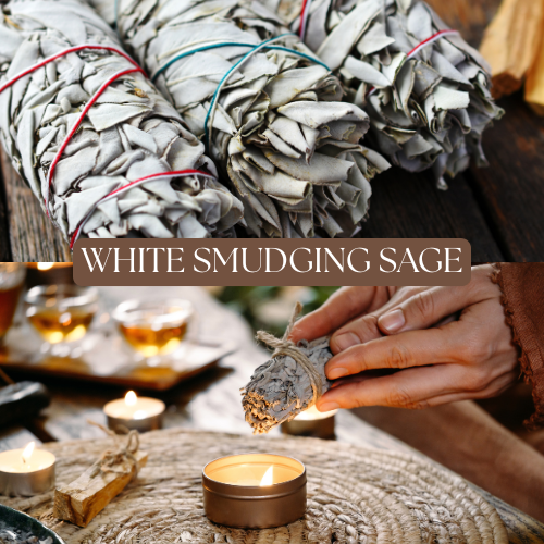White Sage Smudge Stick